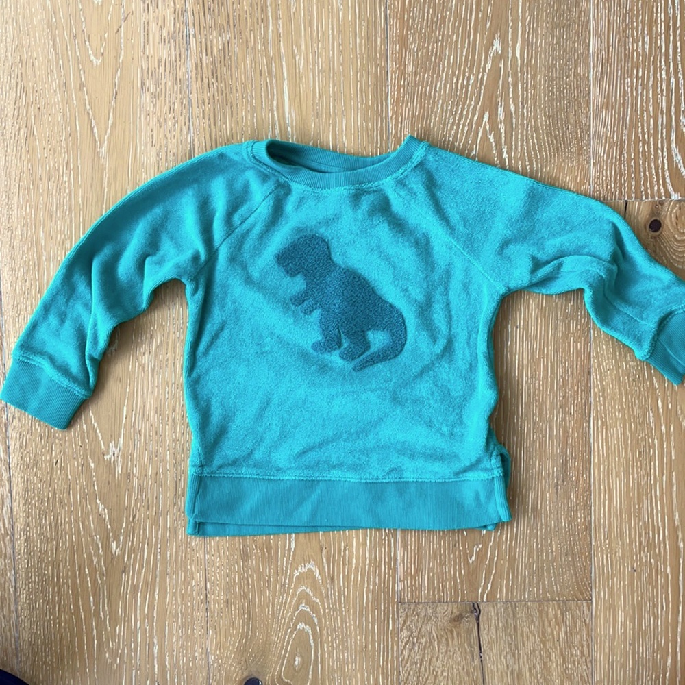 EUC Dino cat and Jack sweatshirt in size 3t